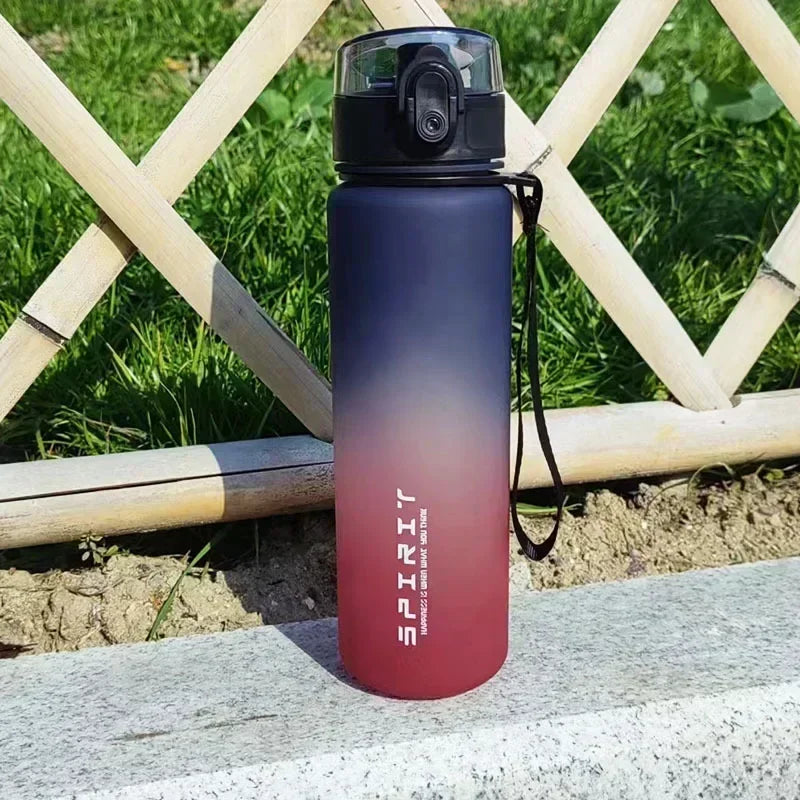La Bouteille d'eau en dégradée - 500ml/650ml