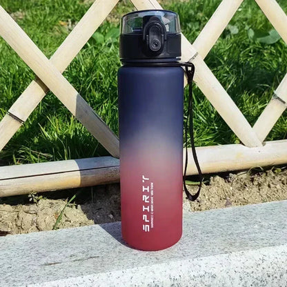 La Bouteille d'eau en dégradée - 500ml/650ml